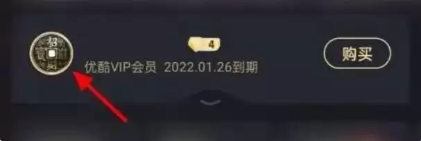 优酷会员自动续费关闭方法步骤详解_wishdown.com 优酷会员自动续费关闭方法步骤详解_wishdown.com