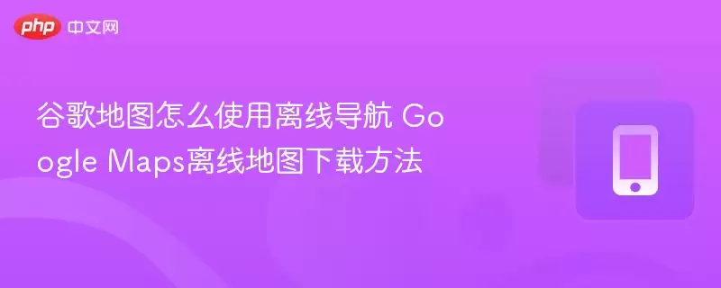谷歌地图离线导航设置与下载完整教程_wishdown.com 谷歌地图怎么使用离线导航 google maps离线地图下载方法