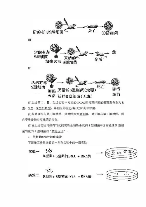 猿辅导素养课教材领取与配套讲义邮寄查询指南_wishdown.com 猿辅导素养课教材领取与配套讲义邮寄查询指南_wishdown.com