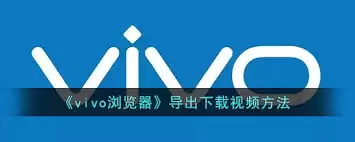 vivo�������Ƶ���غ󵼳������Է���