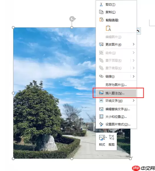 Word图片标注箭头制作方法详解_wishdown.com Word图片标注箭头制作方法详解_wishdown.com