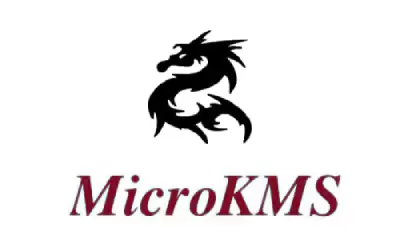 MicroKMS神龙版激活工具使用教程与步骤详解_wishdown.com MicroKMS神龙版激活工具使用教程与步骤详解_wishdown.com