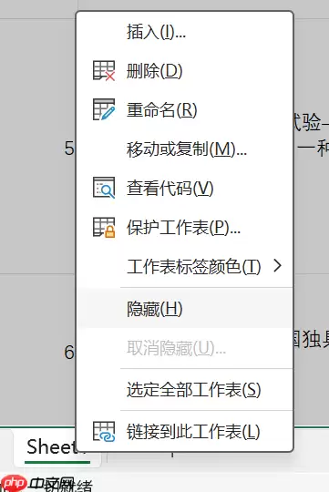 Excel表格内容隐藏技巧与详细步骤教学_wishdown.com Excel表格内容隐藏技巧与详细步骤教学_wishdown.com