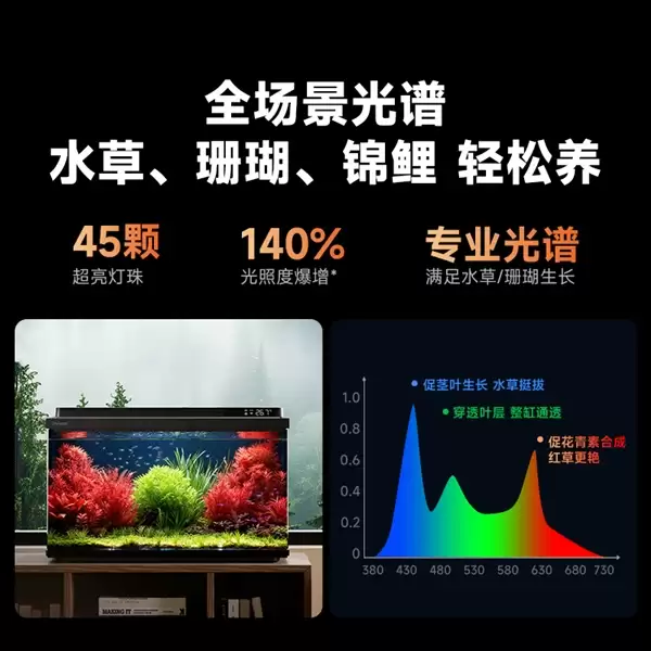 预算有限怎么开海缸 当贝鱼缸2SUltra低成本入门方案_wishdown.com 预算有限怎么开海缸 当贝鱼缸2SUltra低成本入门方案_wishdown.com