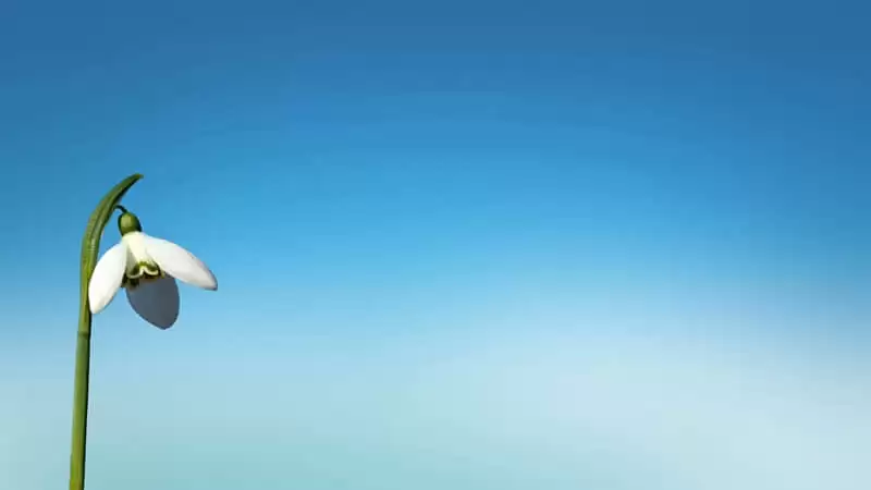 发工资那天这么发搞笑程度1000%_wishdown.com 发工资那天这么发搞笑程度1000%_wishdown.com
