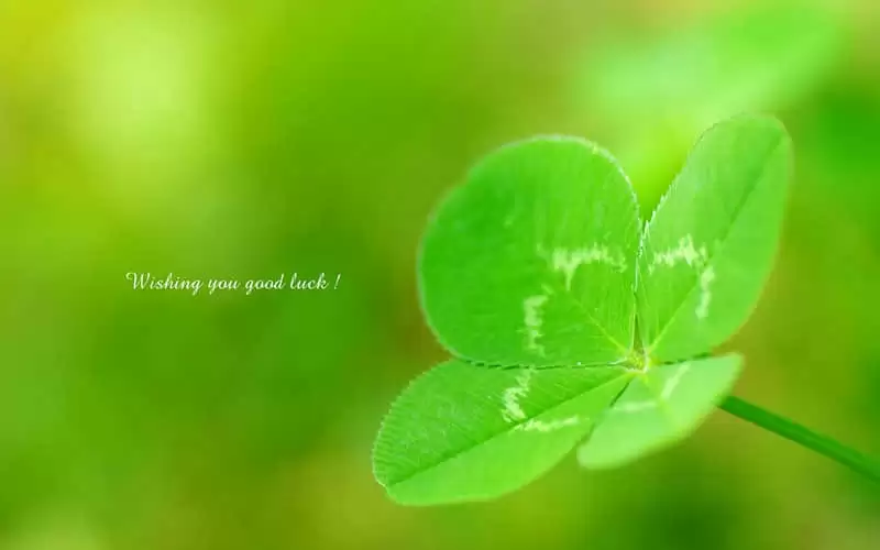 �����𴲱�����Ӳ�˿����Ź���