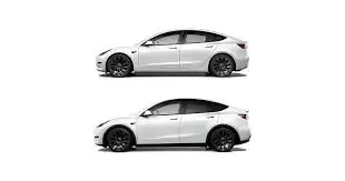 ��˹��Model 3��Model Y��ôѡ���Աȷ�������������