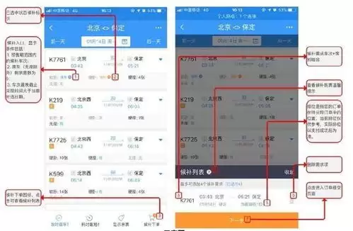 12306购票页面宠物托运服务是什么意思_wishdown.com 12306购票页面的宠是什么意思
