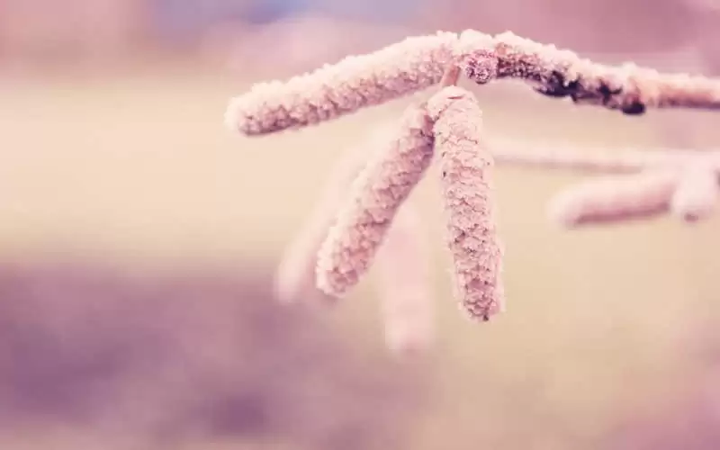 ޶һ��ȥЦ���������Ȧ