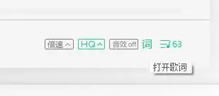 QQ音乐歌词显示设置与开启方法详解_wishdown.com QQ音乐歌词显示设置与开启方法详解_wishdown.com