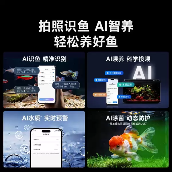 预算有限怎么开海缸 当贝鱼缸2SUltra低成本入门方案_wishdown.com 预算有限怎么开海缸 当贝鱼缸2SUltra低成本入门方案_wishdown.com