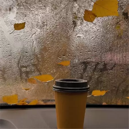 Ů���˸�����100������ô��Ϊʲôѡ��Щ��