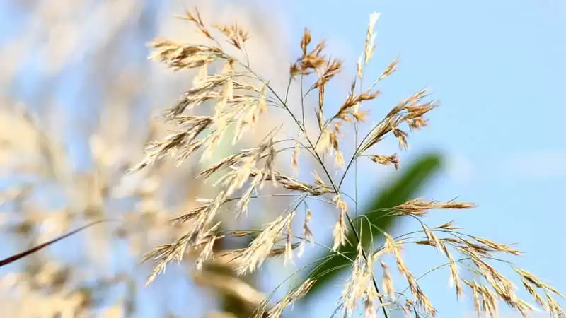 �������Ϲ��������췢̫�ио���
