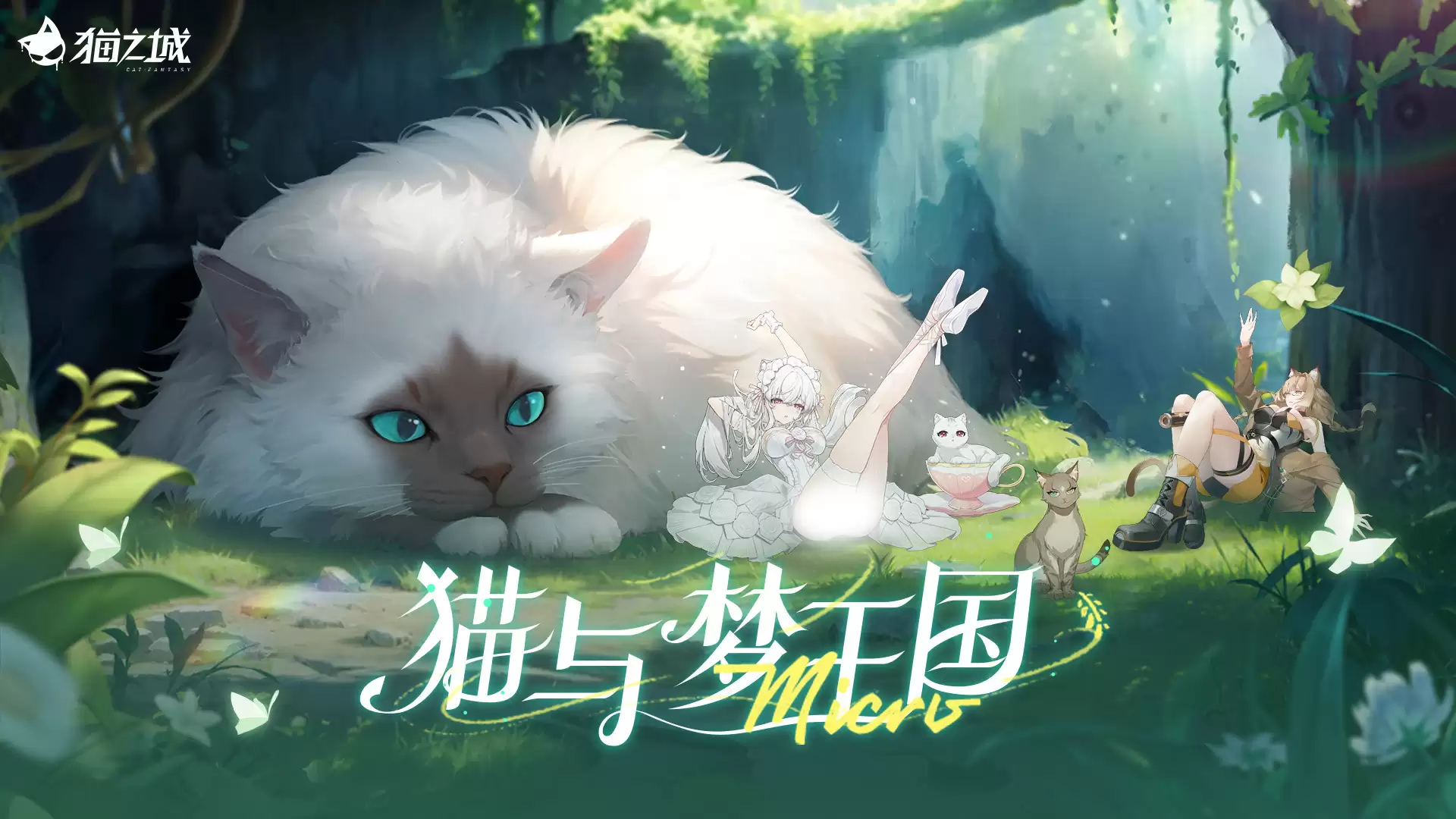 è���������汾�����������