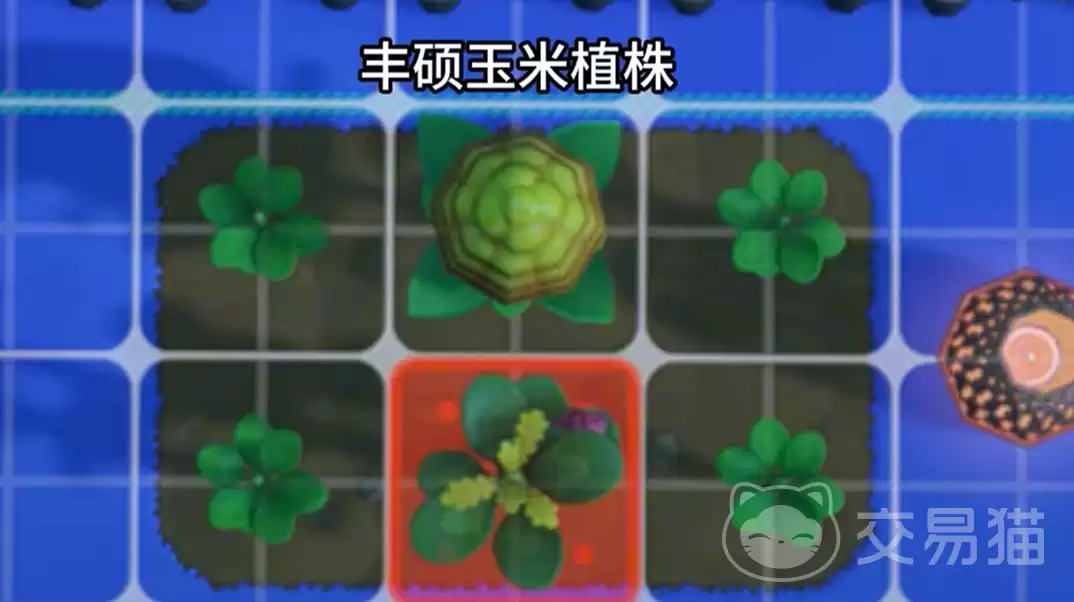 星布谷地混种培育及奇异巨大作物获取全攻略_wishdown.com 星布谷地混种培育及奇异巨大作物获取全攻略_wishdown.com