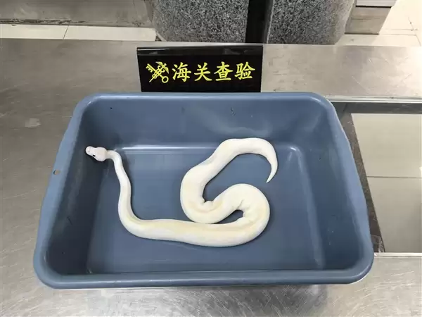 ̫���ף������ú�˿��8�����߰����Ͻ������� 6���Ǳ�Σ����