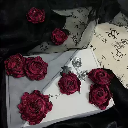 ��Ұ�˸�Ů�����������֣���ѡ100���Ƽ�