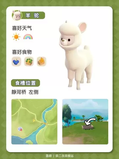 �Ķ�С��÷��¹��ô�������������湥��