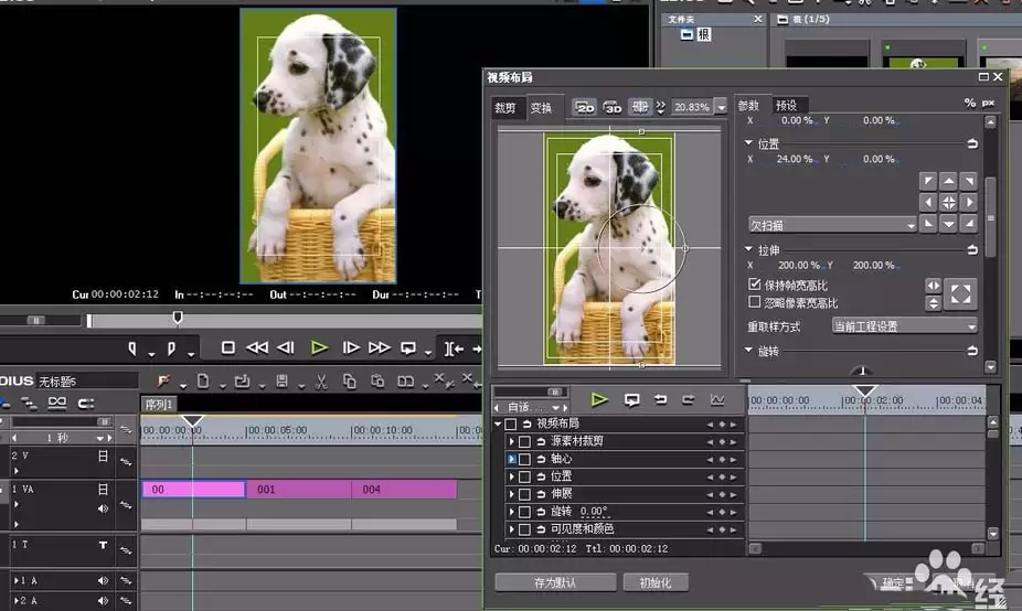Edius制作竖向视频的详细步骤教程_wishdown.com Edius怎么制作竖向视频