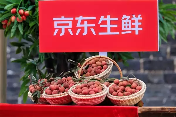 京东生鲜“重走荔枝路”抵达荆州,千年贡道上演“争鲜战”_wishdown.com 京东生鲜“重走荔枝路”抵达荆州,千年贡道上演“争鲜战”_wishdown.com