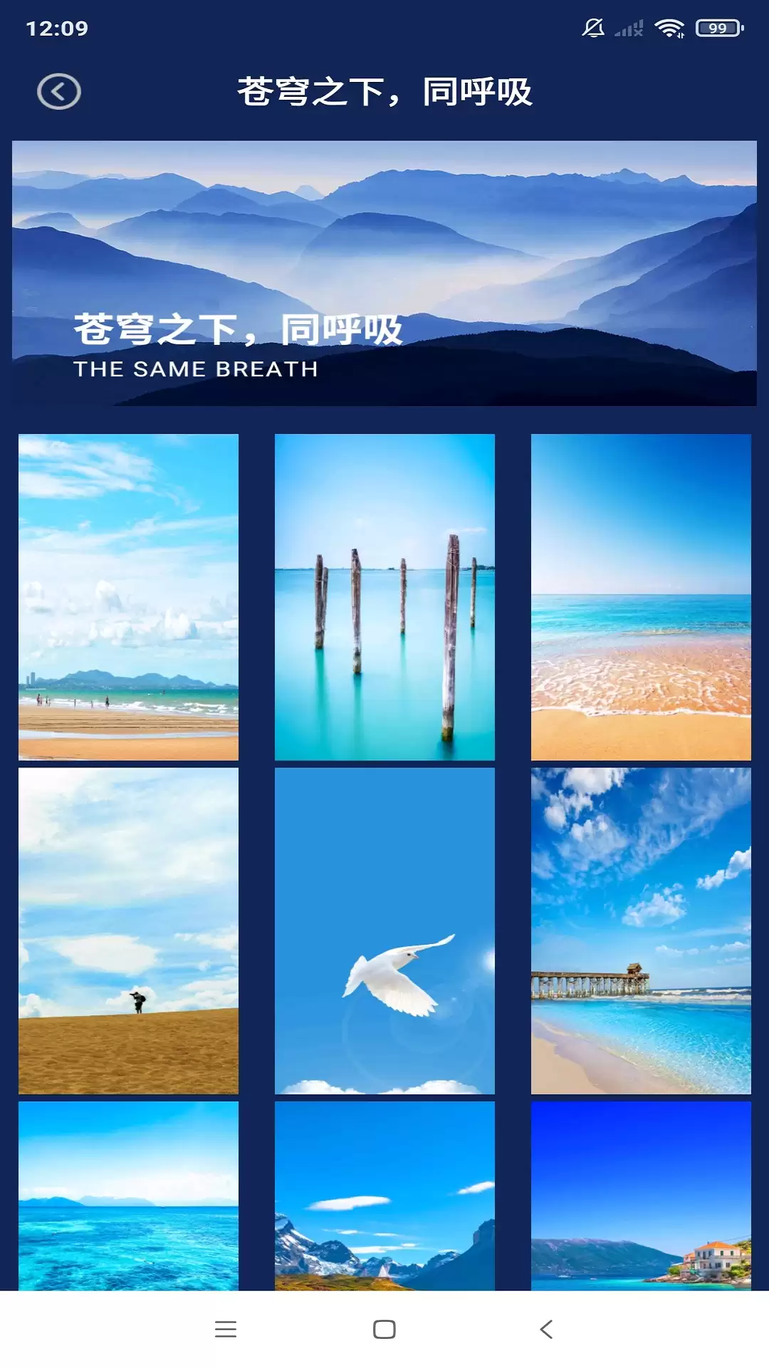 动态壁纸软件哪个好用 最新推荐与对比评测_wishdown.com 动态壁纸软件哪个好用 最新推荐与对比评测_wishdown.com
