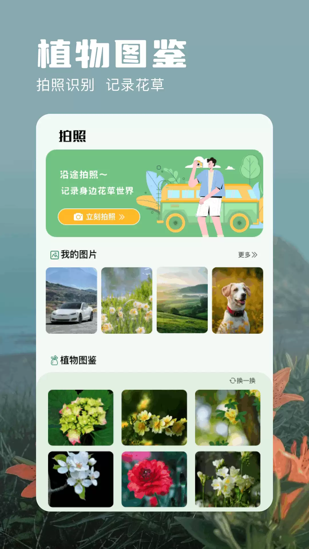 实用的图片真假识别软件推荐合集与选购指南_wishdown.com 实用的图片真假识别软件推荐合集与选购指南_wishdown.com