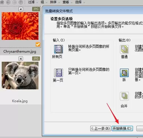 acdsee怎么批量压缩图片大小的详细操作步骤教程_wishdown.com acdsee怎么批量压缩图片大小的详细操作步骤教程_wishdown.com