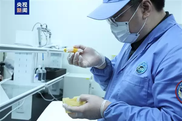 中国空间站第十批科学实验样品交付科学家:共41公斤 包含人工胚胎_wishdown.com 中国空间站第十批科学实验样品交付科学家:共41公斤 包含人工胚胎_wishdown.com