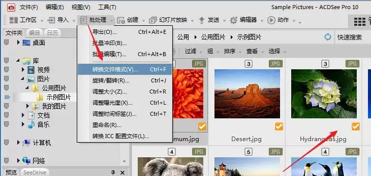 acdsee怎么批量压缩图片大小的详细操作步骤教程_wishdown.com acdsee怎么批量压缩图片大小的详细操作步骤教程_wishdown.com