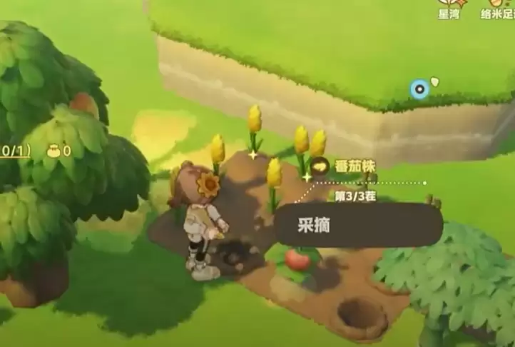 星布谷地新手初始星系挑选攻略与推荐技巧_wishdown.com 星布谷地新手初始星系挑选攻略与推荐技巧_wishdown.com