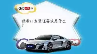 2024�걨��A1��ʻ֤ȫ���ԣ�����������������