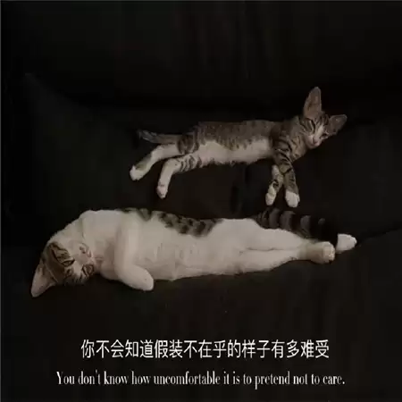 �������˸�������Ů��ר��100������������
