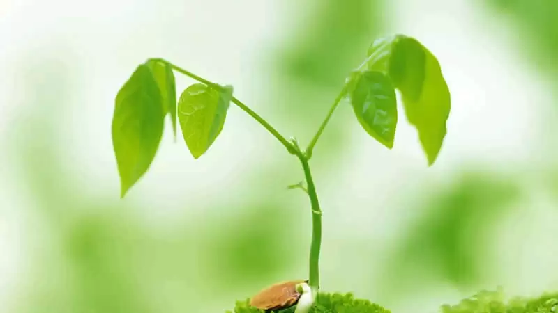 �ں��ȶ���Ů������Ȧ��������