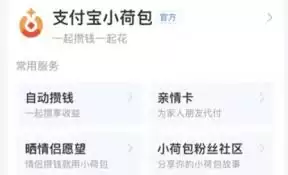 支付宝小荷包情侣花钱要对方同意吗_wishdown.com 支付宝小荷包情侣花钱要对方同意吗_wishdown.com