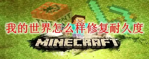 �ҵ�����װ���;ö��޸�����