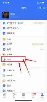 支付宝如何关闭花呗的详尽操作步骤教程_wishdown.com 支付宝如何关闭花呗
