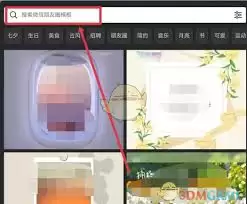 Canva可画模板挑选实用技巧_wishdown.com canva可画如何挑选模板