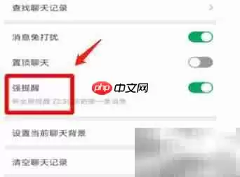 永久设置强提醒功能的方法与详细步骤教程_wishdown.com 永久设置强提醒功能的方法与详细步骤教程_wishdown.com