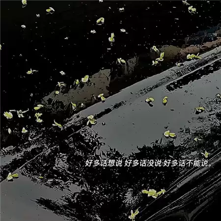 Ⱥ���������˸�����Ů������ѡ100������ôȡ��Ϊʲô��