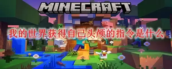 �ҵ����������ָ�����Լ���ͷ­