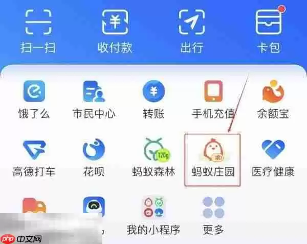 ����ׯ԰5��31��ÿ�մ������´�