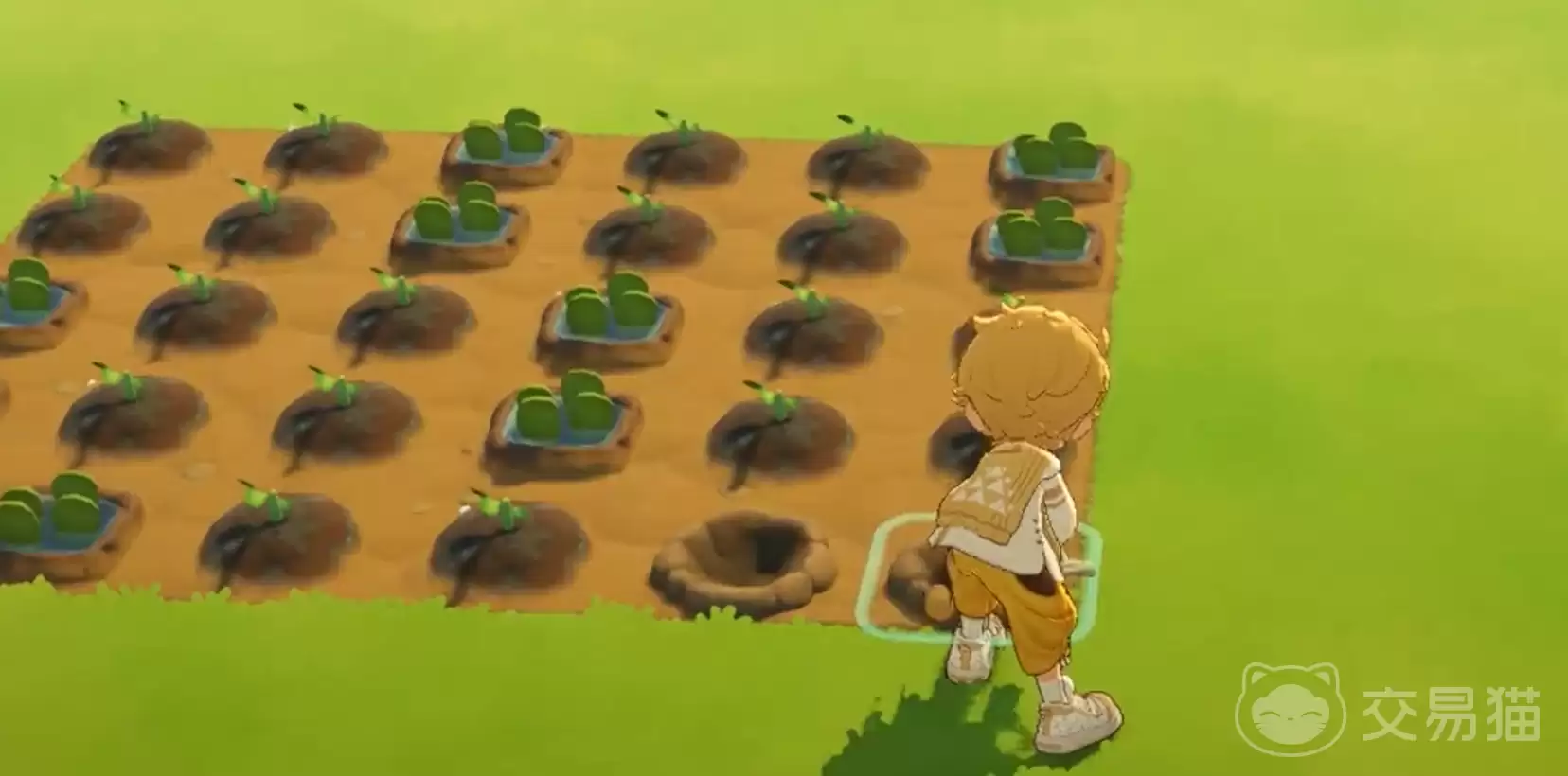 星布谷地蔬菜成熟时间与采摘技巧全攻略_wishdown.com 星布谷地蔬菜成熟时间与采摘技巧全攻略_wishdown.com