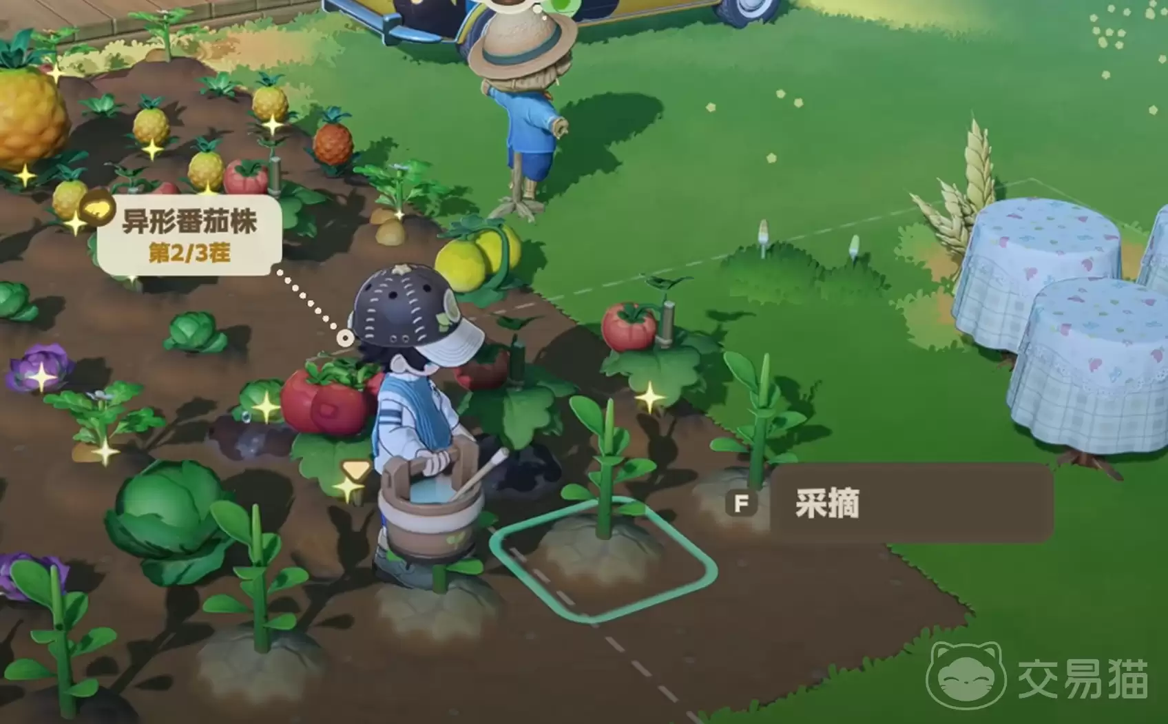 星布谷地蔬菜成熟时间与采摘技巧全攻略_wishdown.com 星布谷地蔬菜成熟时间与采摘技巧全攻略_wishdown.com