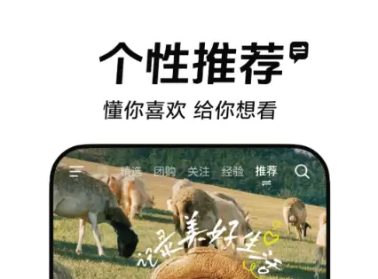免费无广告追剧APP推荐,好用软件下载清单_wishdown.com 免费无广告追剧APP推荐,好用软件下载清单_wishdown.com