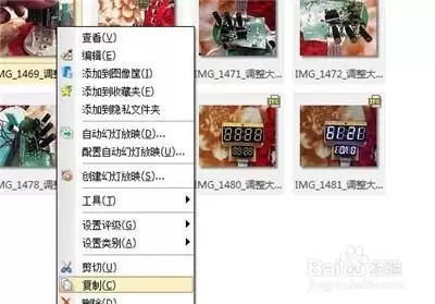 ACDsee复制功能使用详细步骤教程_wishdown.com ACDsee怎么使用复制功能