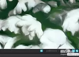 ACDSee����Ԥ�����ڴ�С�ķ���