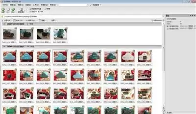 ACDsee复制功能使用详细步骤教程_wishdown.com ACDsee怎么使用复制功能