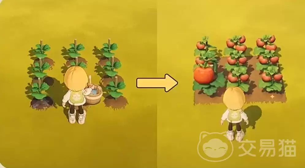 星布谷地蔬菜成熟时间与采摘技巧全攻略_wishdown.com 星布谷地蔬菜成熟时间与采摘技巧全攻略_wishdown.com