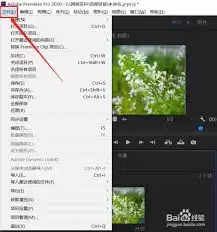 Adobe Premiere Pro 2020视频导出操作指南_wishdown.com Adobe Premiere Pro 2020视频导出操作指南_wishdown.com