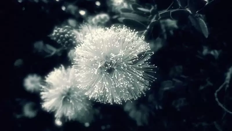6月第一天请发条不一样的朋友圈_wishdown.com 6月第一天请发条不一样的朋友圈_wishdown.com